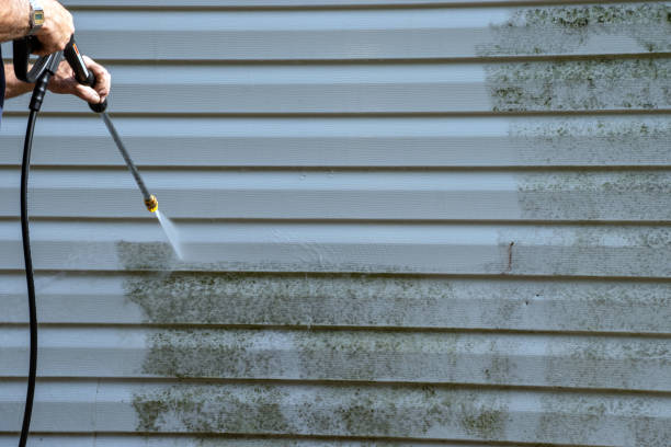 Best Construction Debris Removal  in Moville, IA